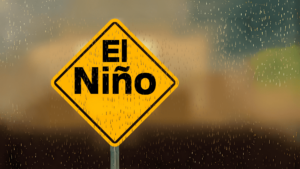 El Niño e Água na Amazônia: Instituto Nacional de Meteorologia monitora impactos de seca e chuva em rios e lençol freático.
